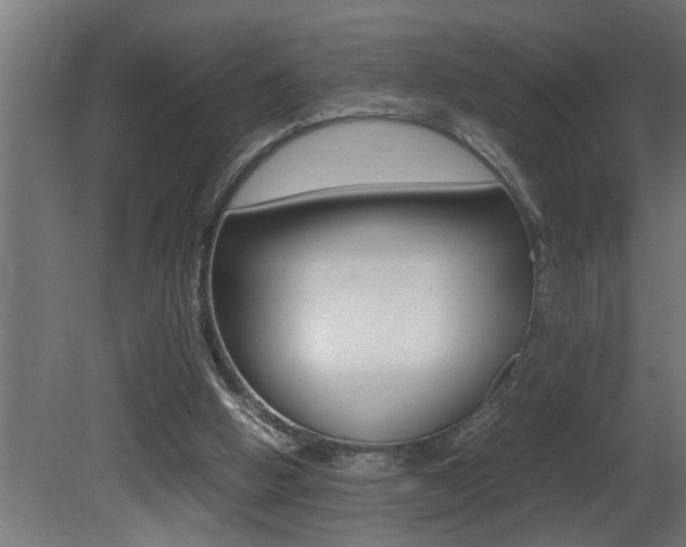 X0000081350058200701111117