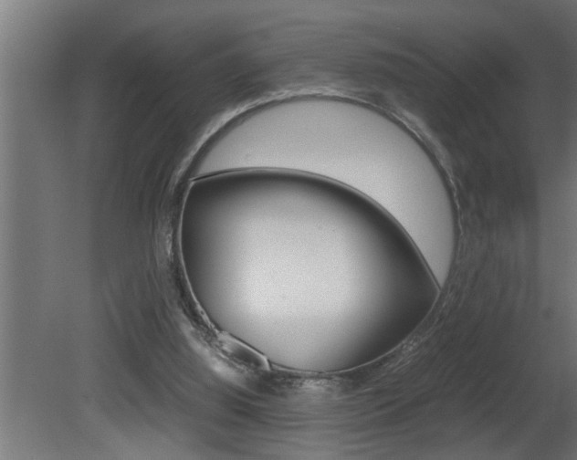 X0000081350060200701111117