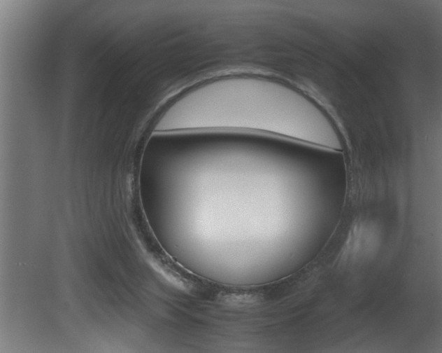 X0000081350063200701111117