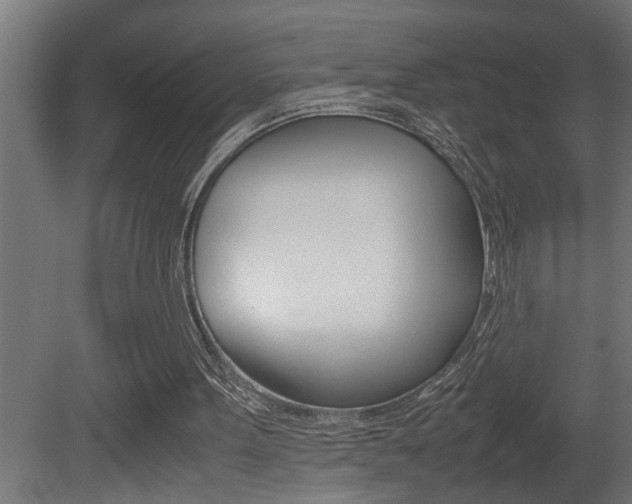 X0000081350099200701111117