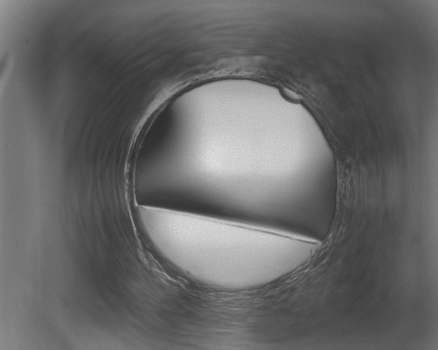 X0000081350100200701111117