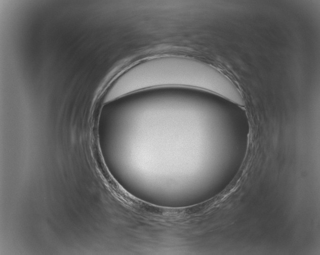 X0000081350101200701111117