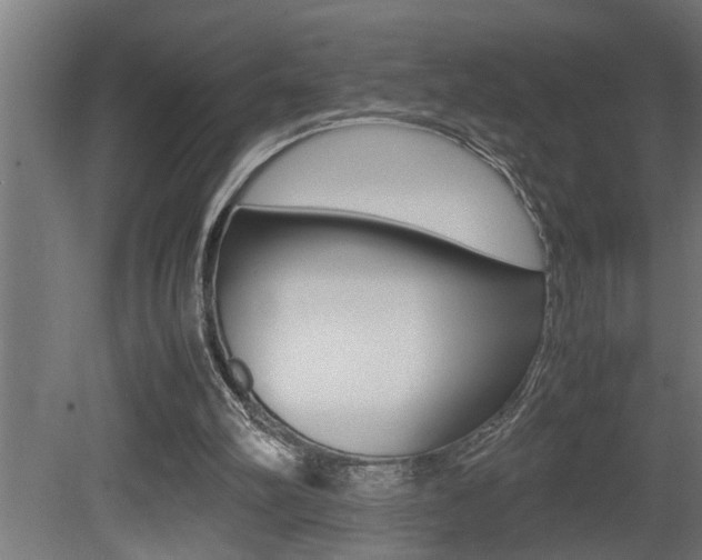 X0000081350102200701111117