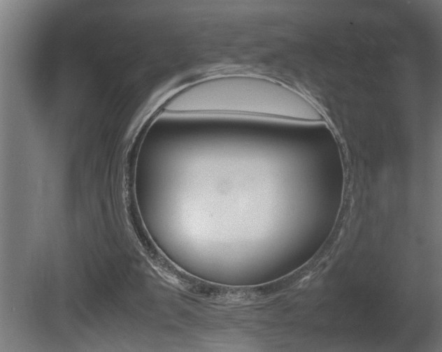 X0000081350103200701111117