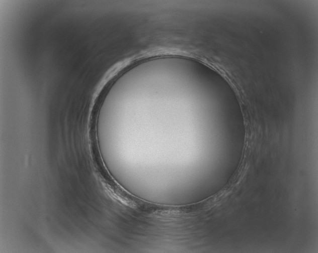 X0000081350104200701111117