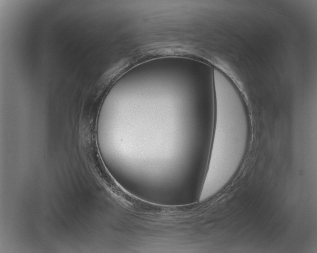 X0000081350105200701111117