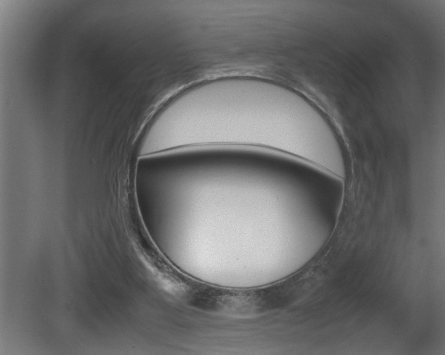 X0000081350107200701111116