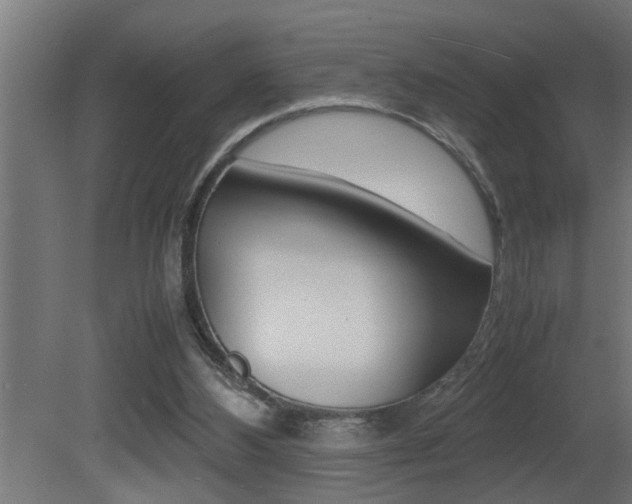 X0000081350108200701111116