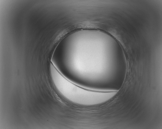 X0000081350109200701111116