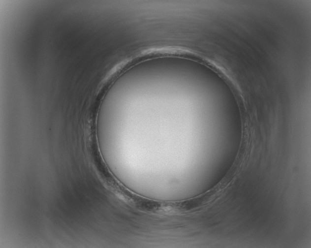 X0000081350111200701111116