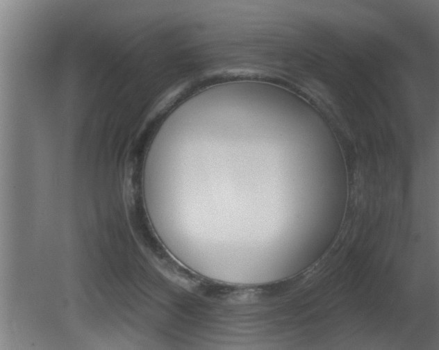 X0000081350116200701111116