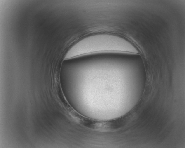 X0000081350117200701111116