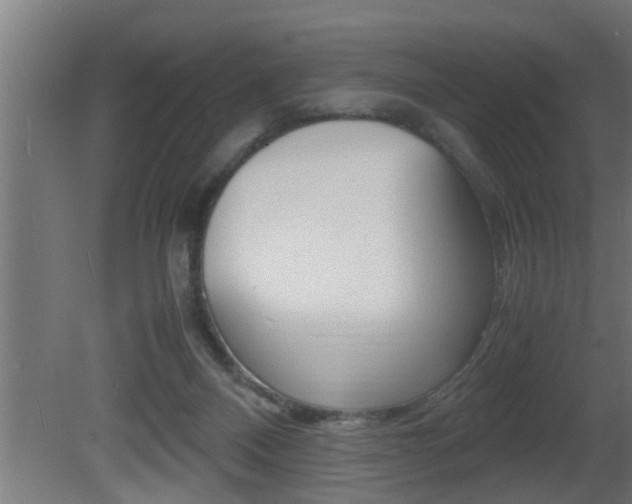 X0000081350120200701111116