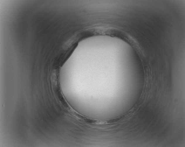X0000081350121200701111116