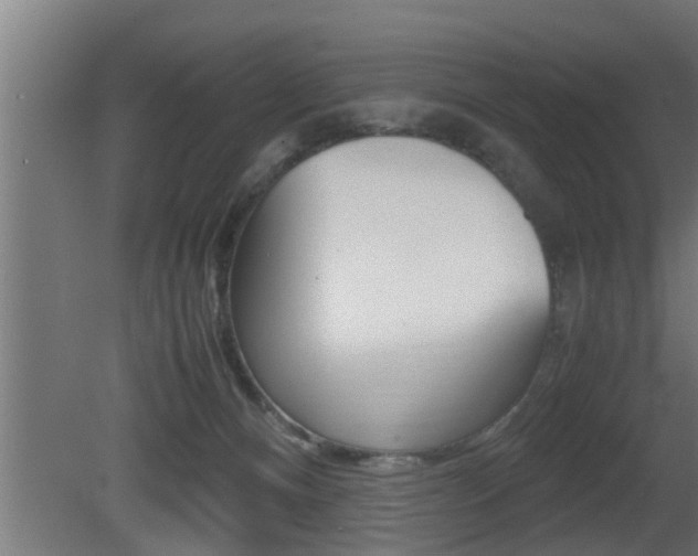 X0000081350128200701111116
