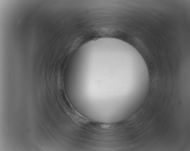 X0000081350130200701111116