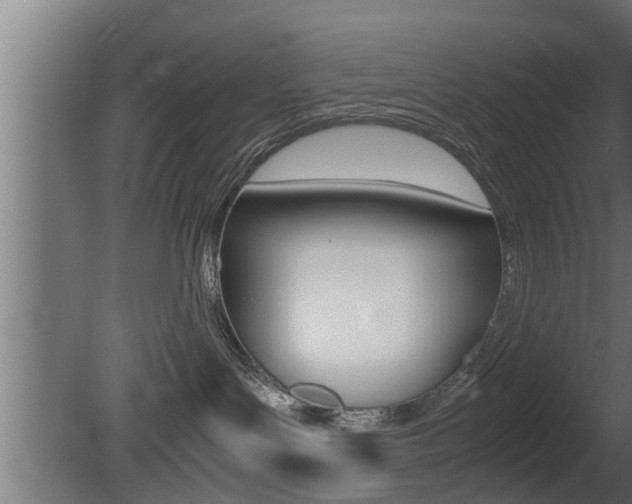 X0000081350143200701111116