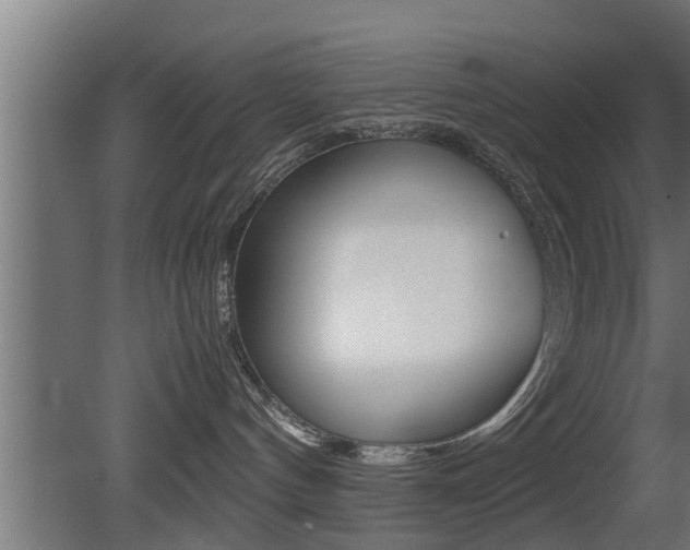 X0000081350144200701111116