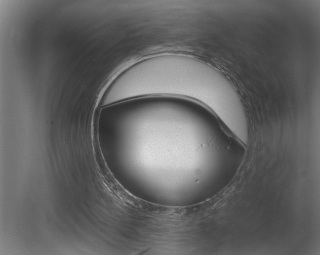 X0000081350148200701111115