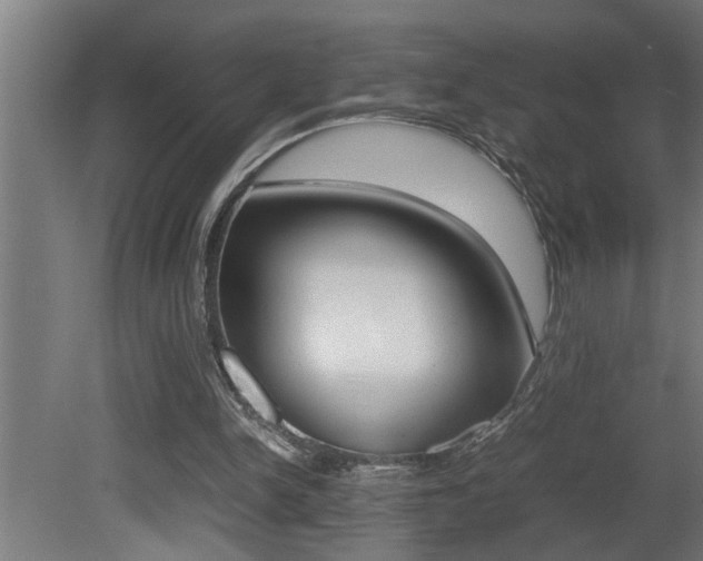 X0000081350150200701111115
