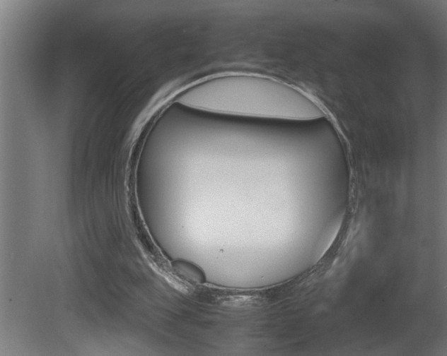 X0000081350151200701111115