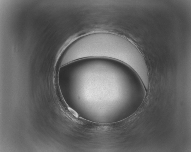 X0000081350152200701111115