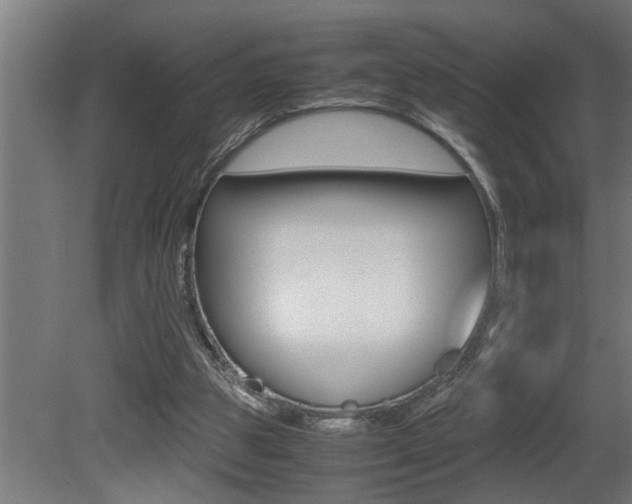 X0000081350153200701111115