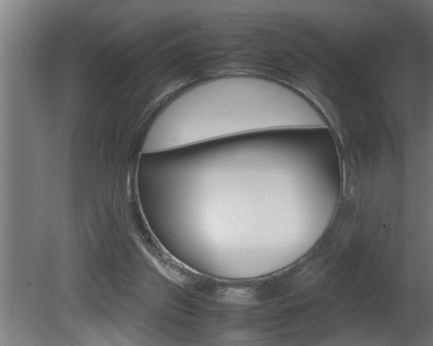 X0000081350157200701111115