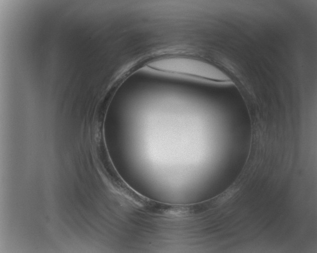 X0000081350164200701111115