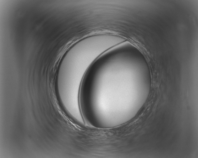 X0000081350193200701111115