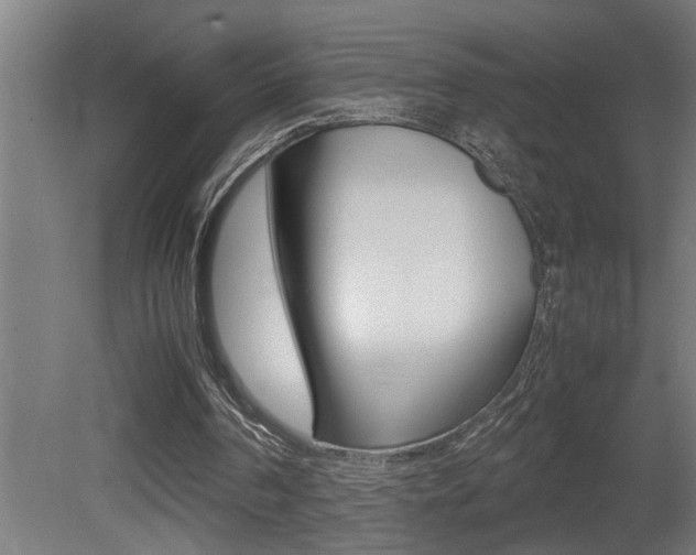 X0000081350194200701111115