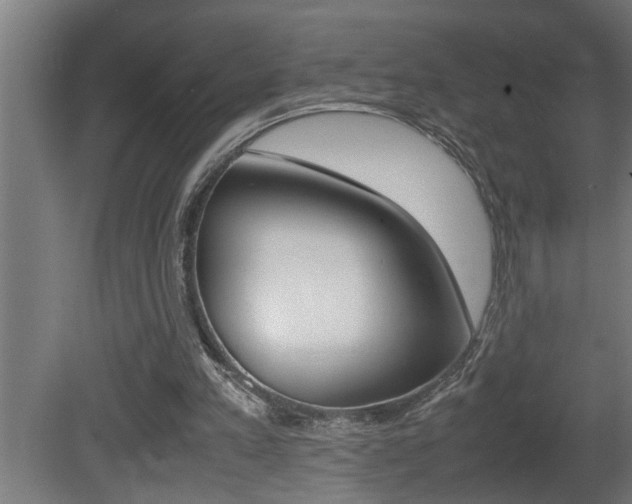 X0000081350197200701111115