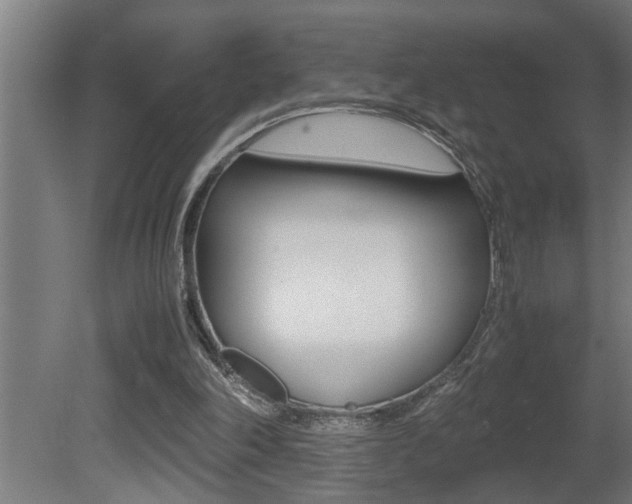 X0000081350198200701111115