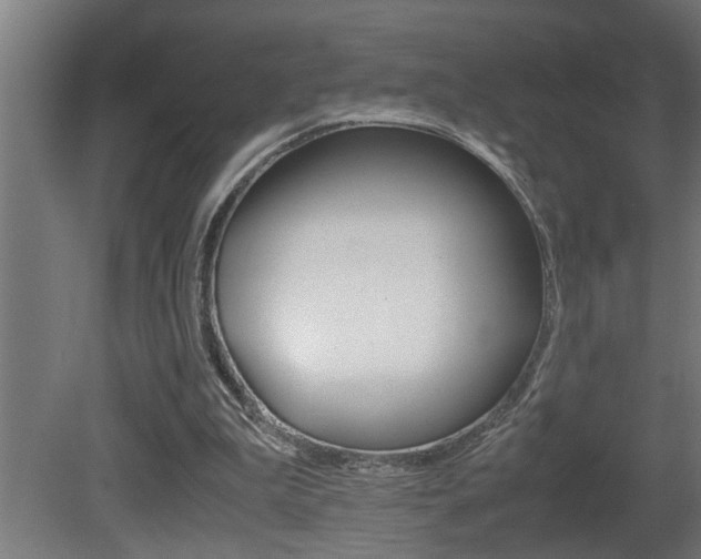 X0000081350199200701111115