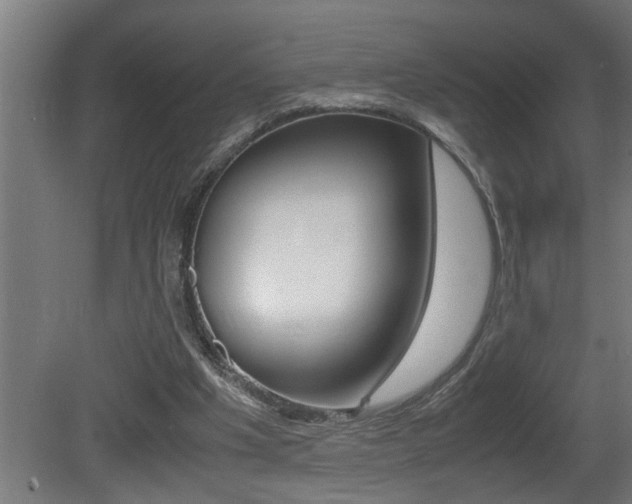 X0000081350201200701111115
