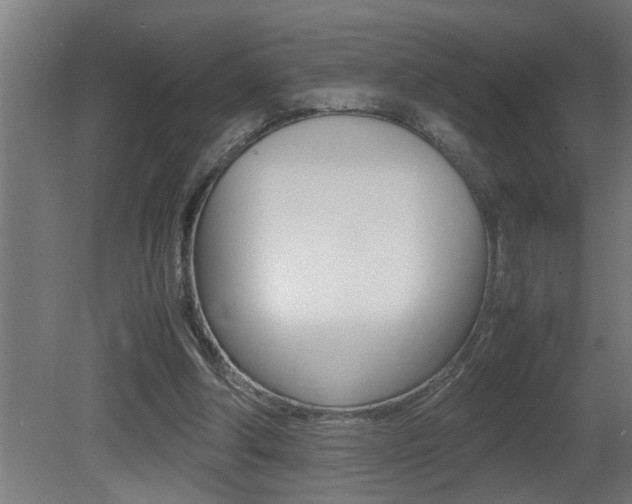 X0000081350202200701111115
