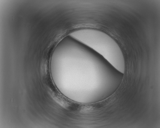 X0000081350206200701111115