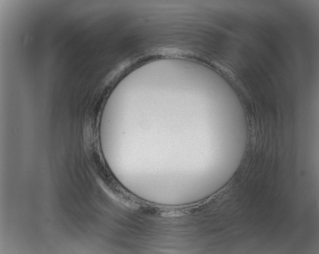 X0000081350208200701111115