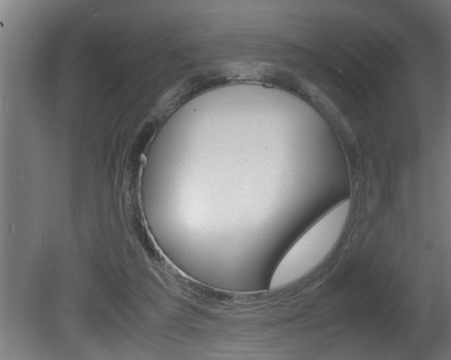 X0000081350209200701111115