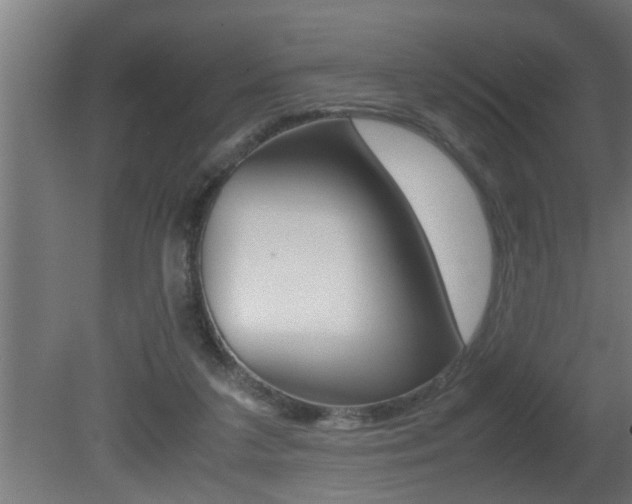 X0000081350211200701111115