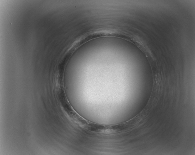 X0000081350212200701111115