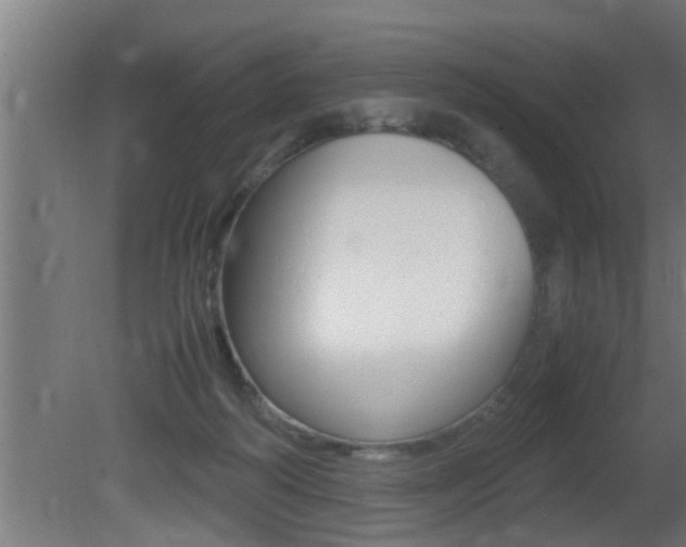 X0000081350218200701111115