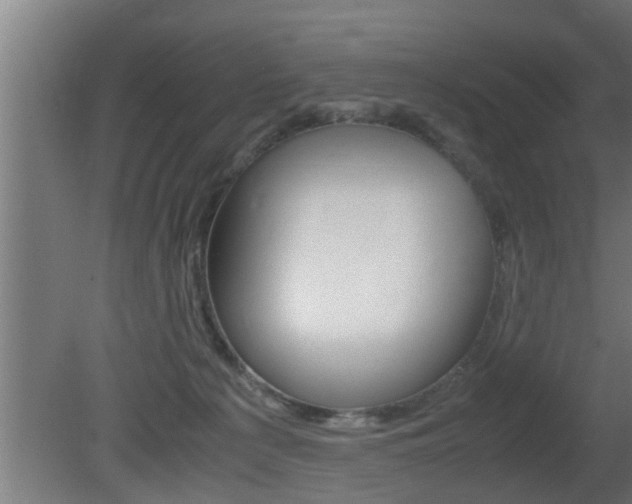 X0000081350225200701111114