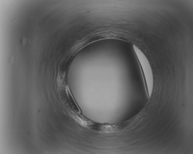 X0000081350239200701111114