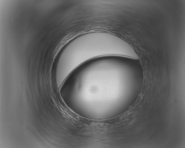 X0000081350242200701111113