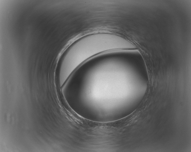 X0000081350244200701111113