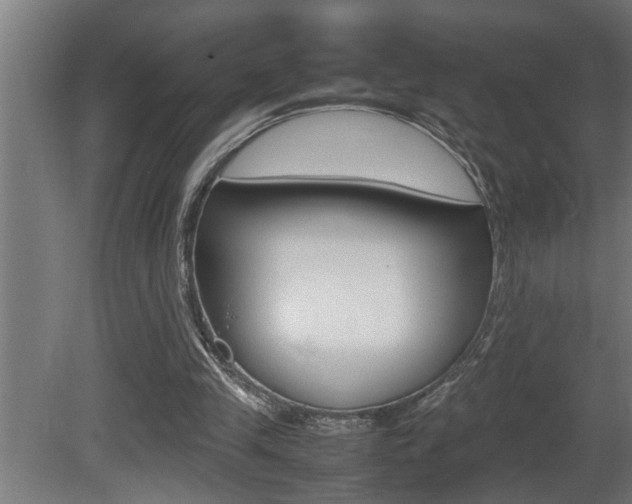 X0000081350245200701111113