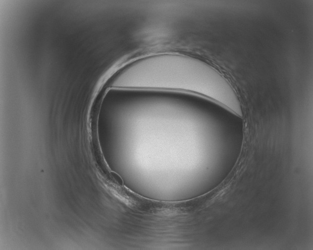 X0000081350246200701111113