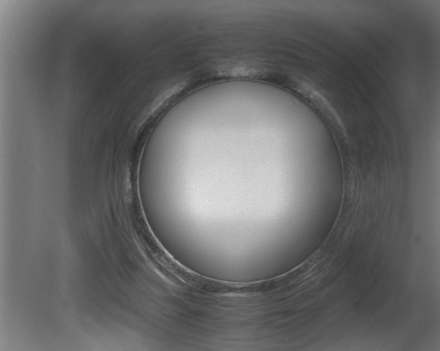 X0000081350251200701111114