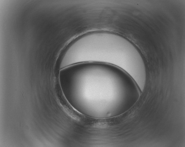 X0000081350252200701111114